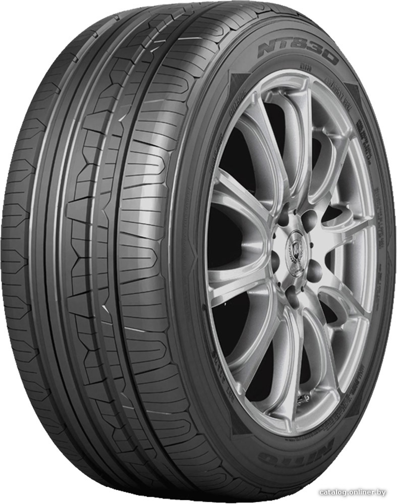 Автомобильные шины Nitto NT830 205/65R16 99H